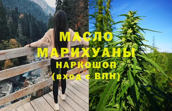 тгк Володарск