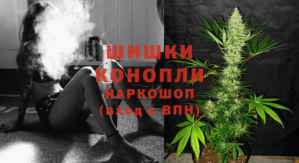 тгк Володарск